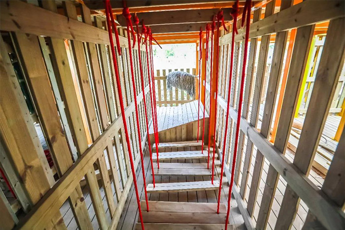 室外游樂園項目